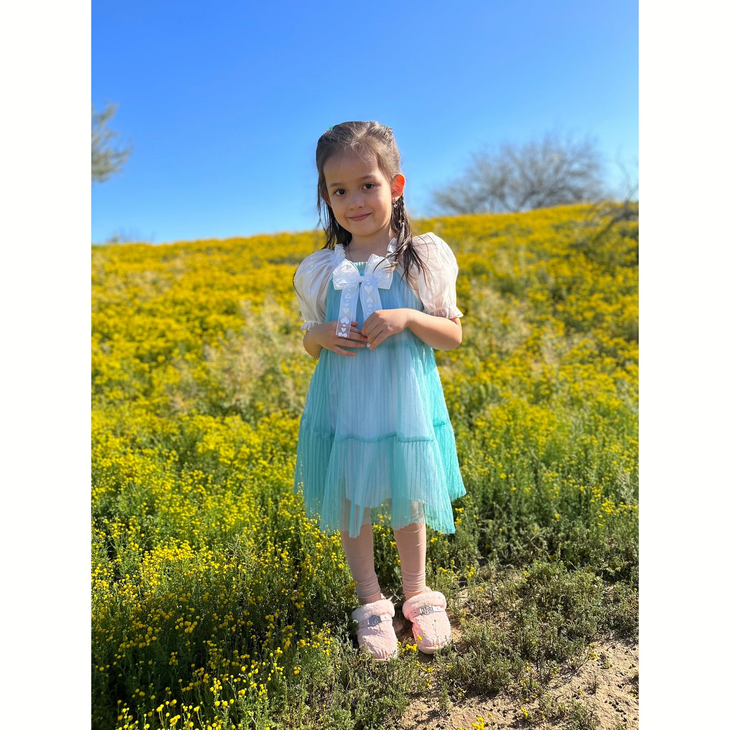 Girls Half Sleeve Dress